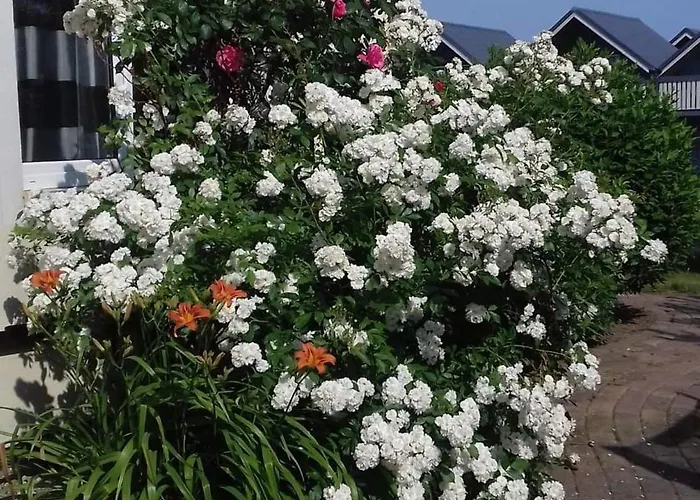 Honoratka בית נופש